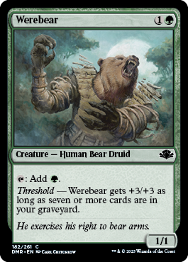 Picture of Werebear                         